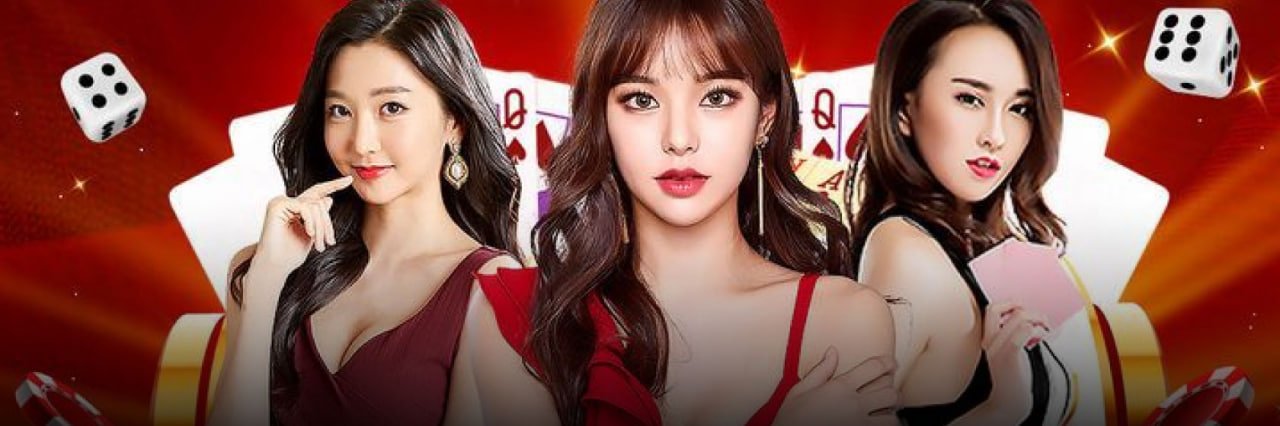 8777bet bd স্পোর্টসের পরিচিতিমূলক ছবি